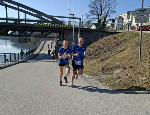 Traunuferlauf Lambach